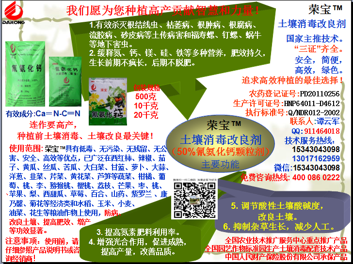 榮寶（氰氨化鈣）顆粒殺菌劑，土壤消毒、緩釋氮鈣營(yíng)養(yǎng)、肥料增效、土壤改良四效合一，殺滅根結(jié)線(xiàn)蟲(chóng)，防治根腫病、根腐病、枯萎病、流膠病、蓮藕腐敗病等土傳病害，殺滅福壽螺、釘螺等地下害蟲(chóng)，解決連作障礙